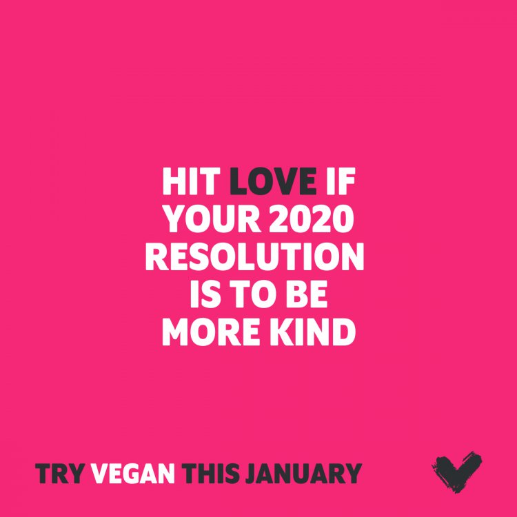 Veganuary : be vegan in january !